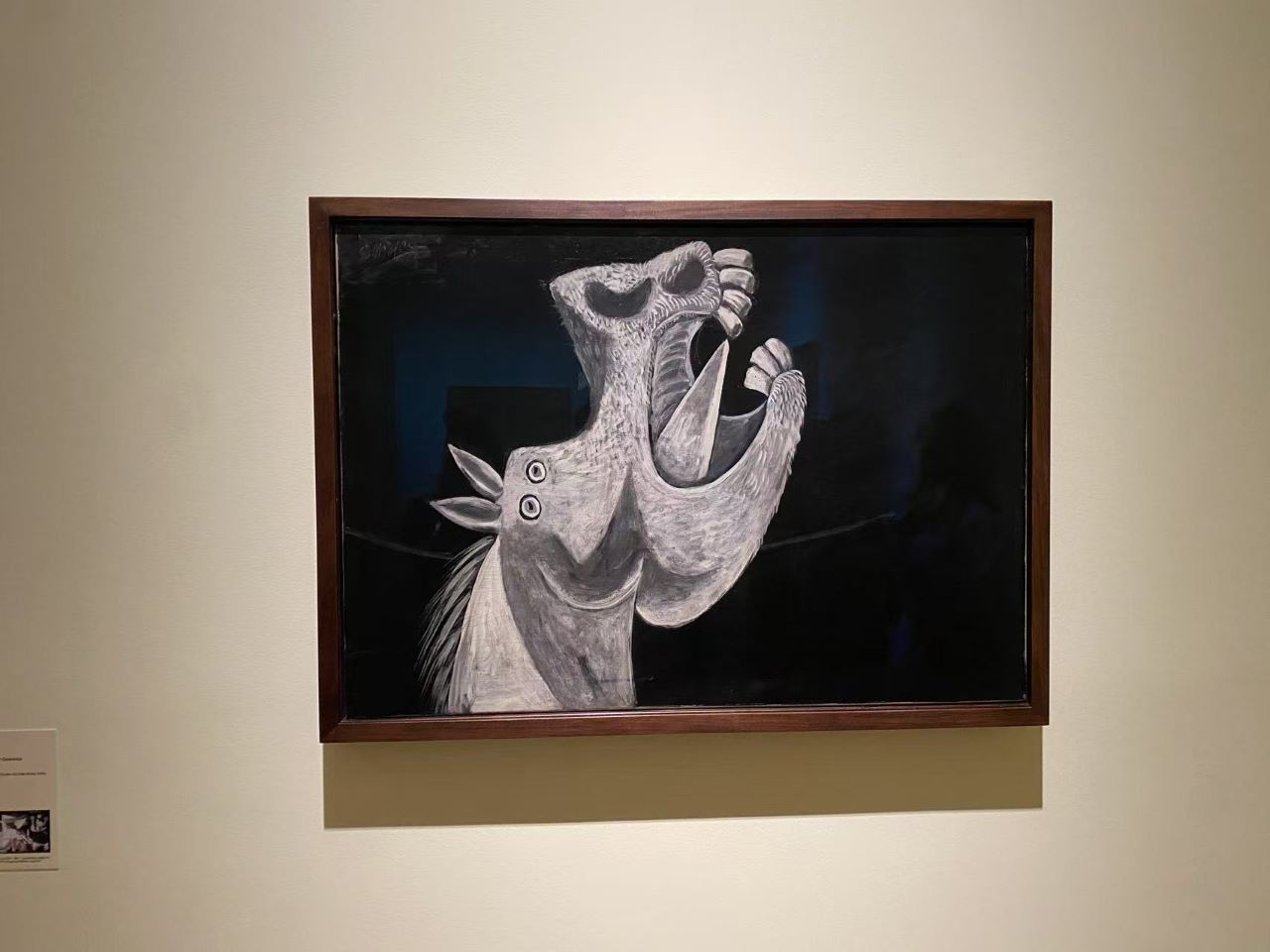 圖片 20250507214011